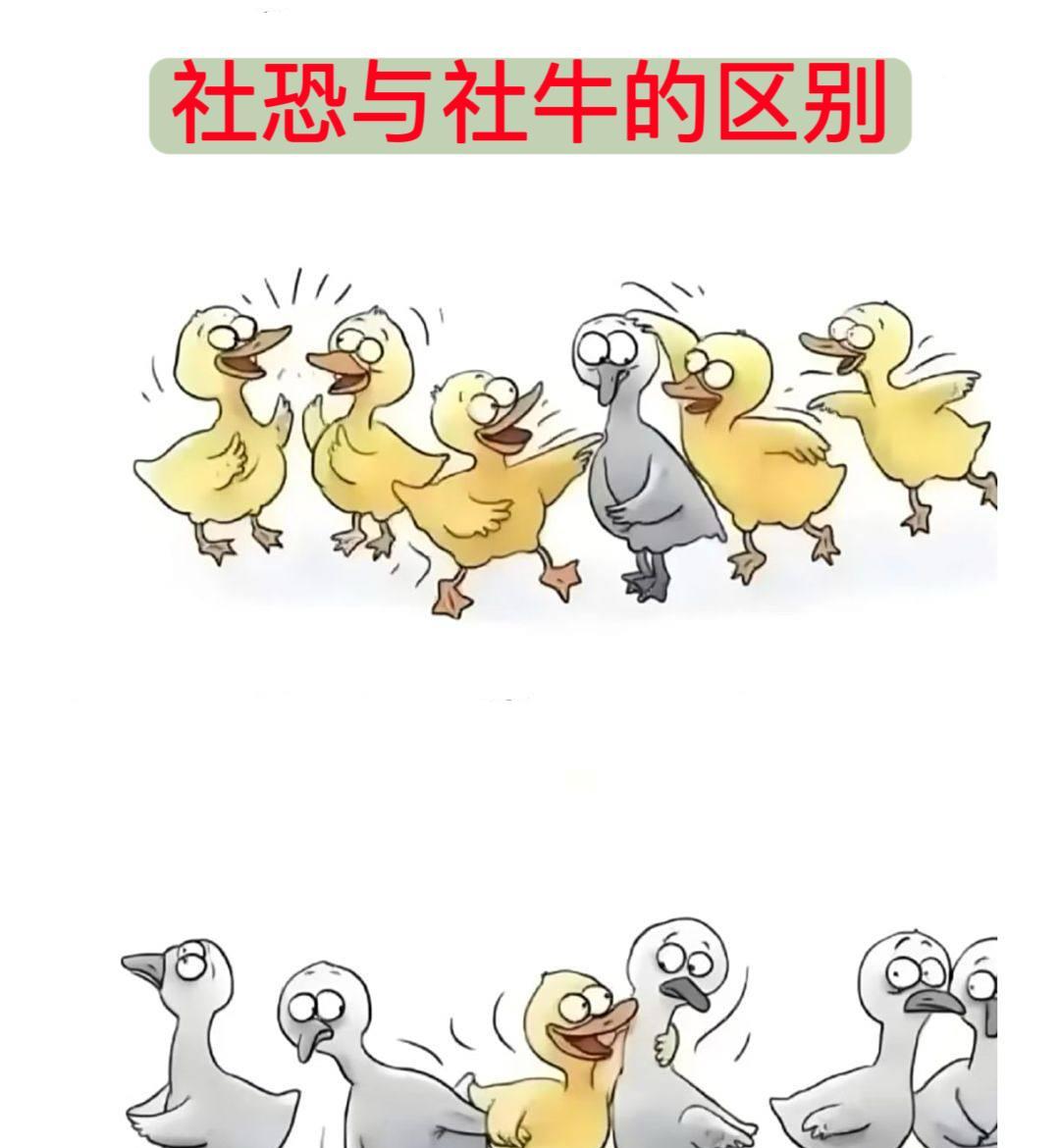社恐与社牛的区别……