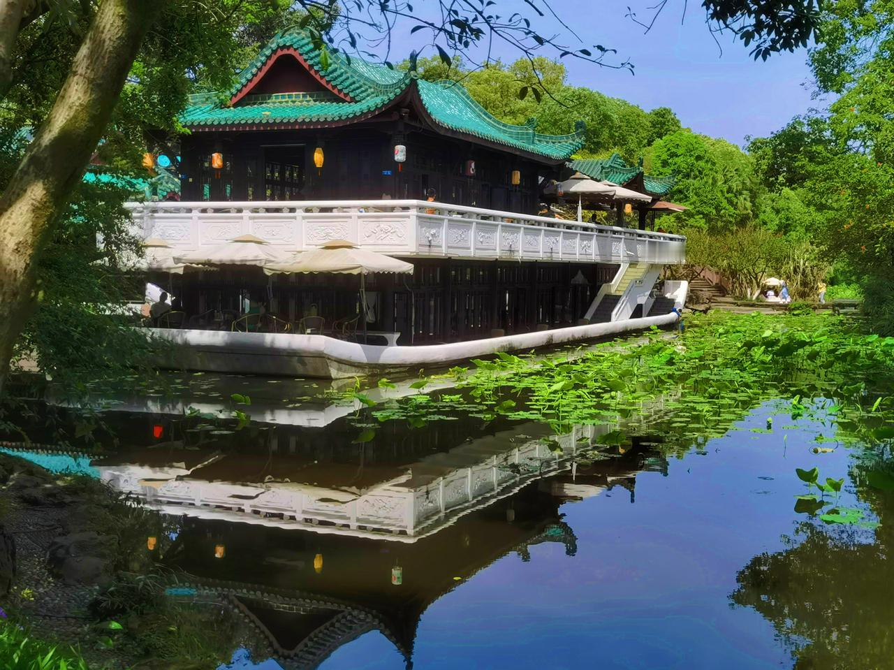 公园美丽景随拍