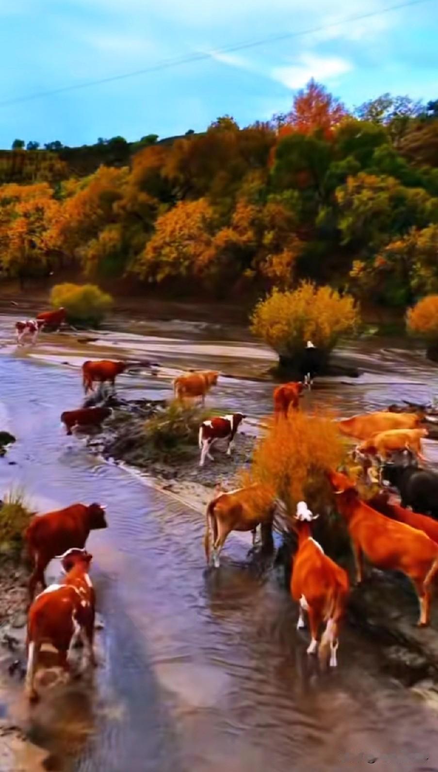 胃癌手术两年后，才发现怎么吃更健康，营养更好吸收…前不久，和胃癌战友们分享了手