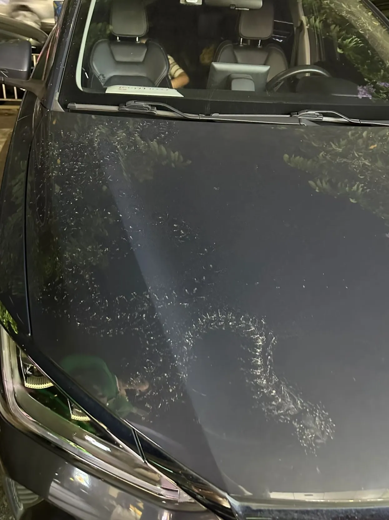 好慌啊山上停车办点事回来车上就有这个印子了边上是新开的工地挖着呢这到底是