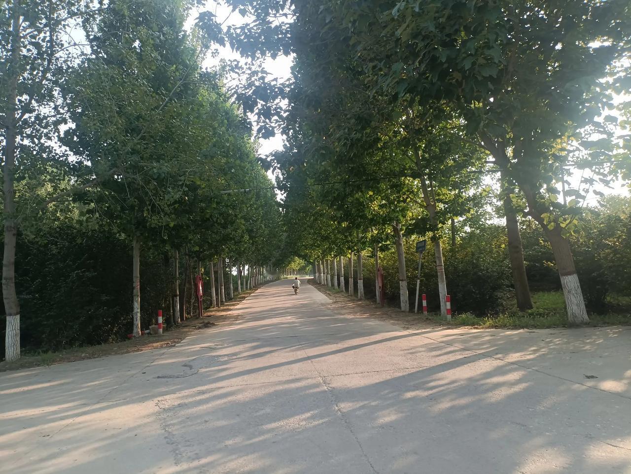 一路好风光！我今天从县城出发，自驾游又开始了。沿嵩山路往西，到了示范