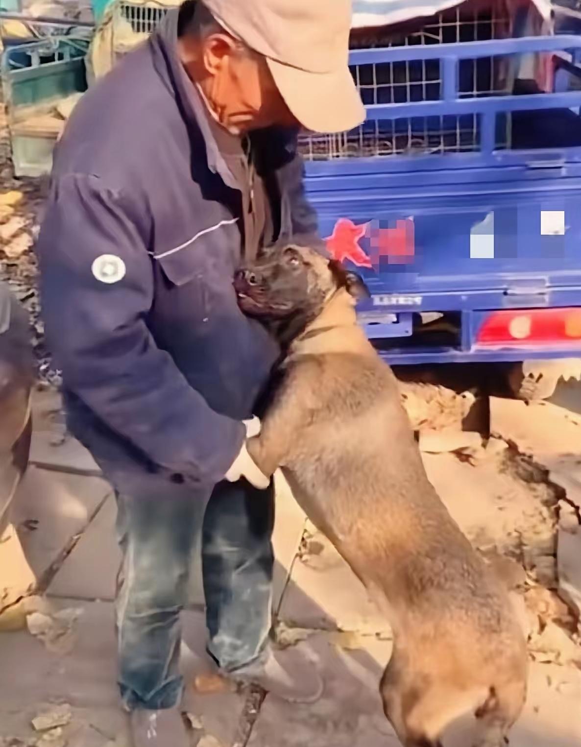 谁看了不心疼！养了4年的看家狗，被主人直接拉去狗市送上狗肉车，临