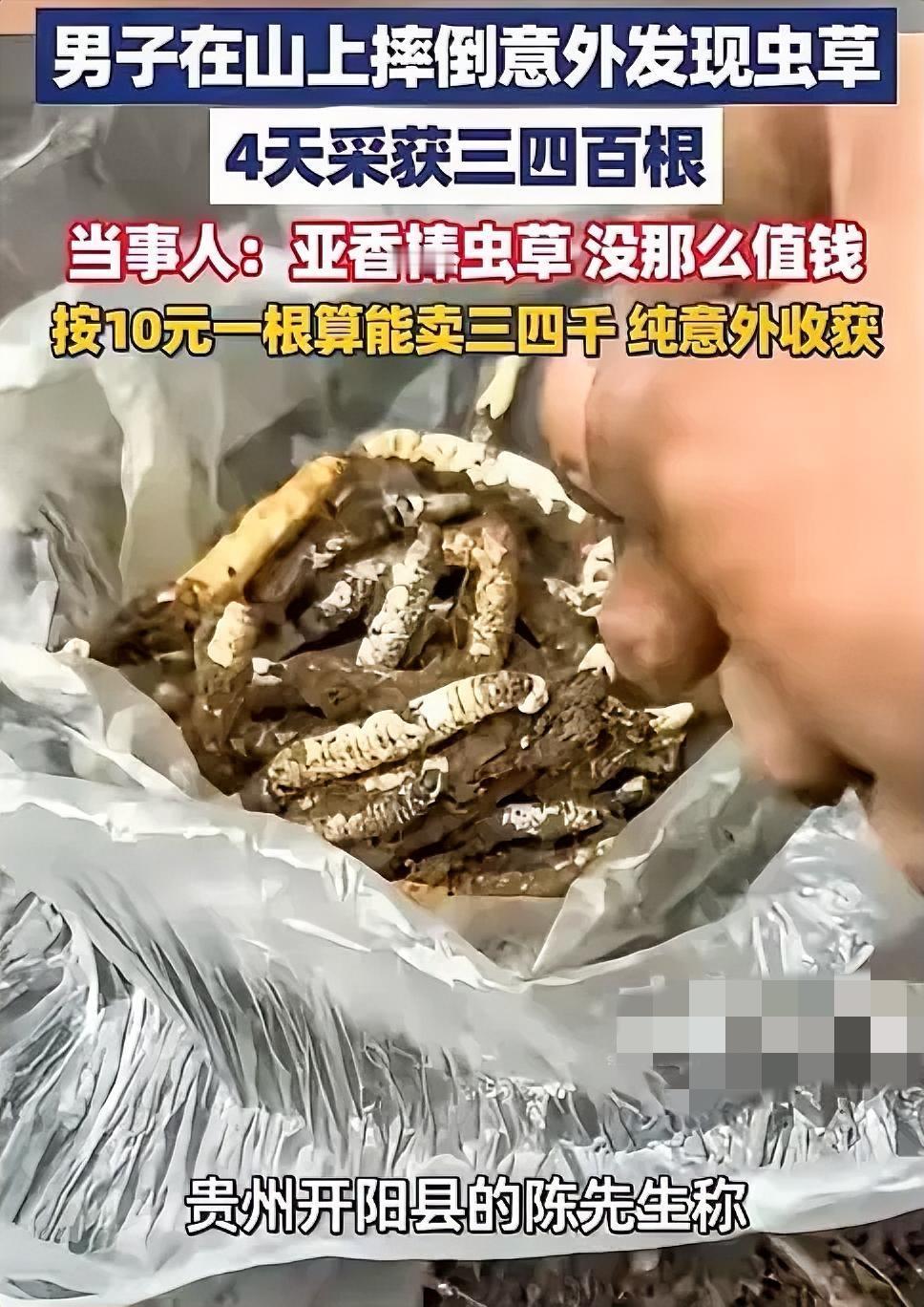 意外之喜！贵州，一男子爬山途中不小心摔倒，谁知，当他准备起身时，意外看到旁边土壤