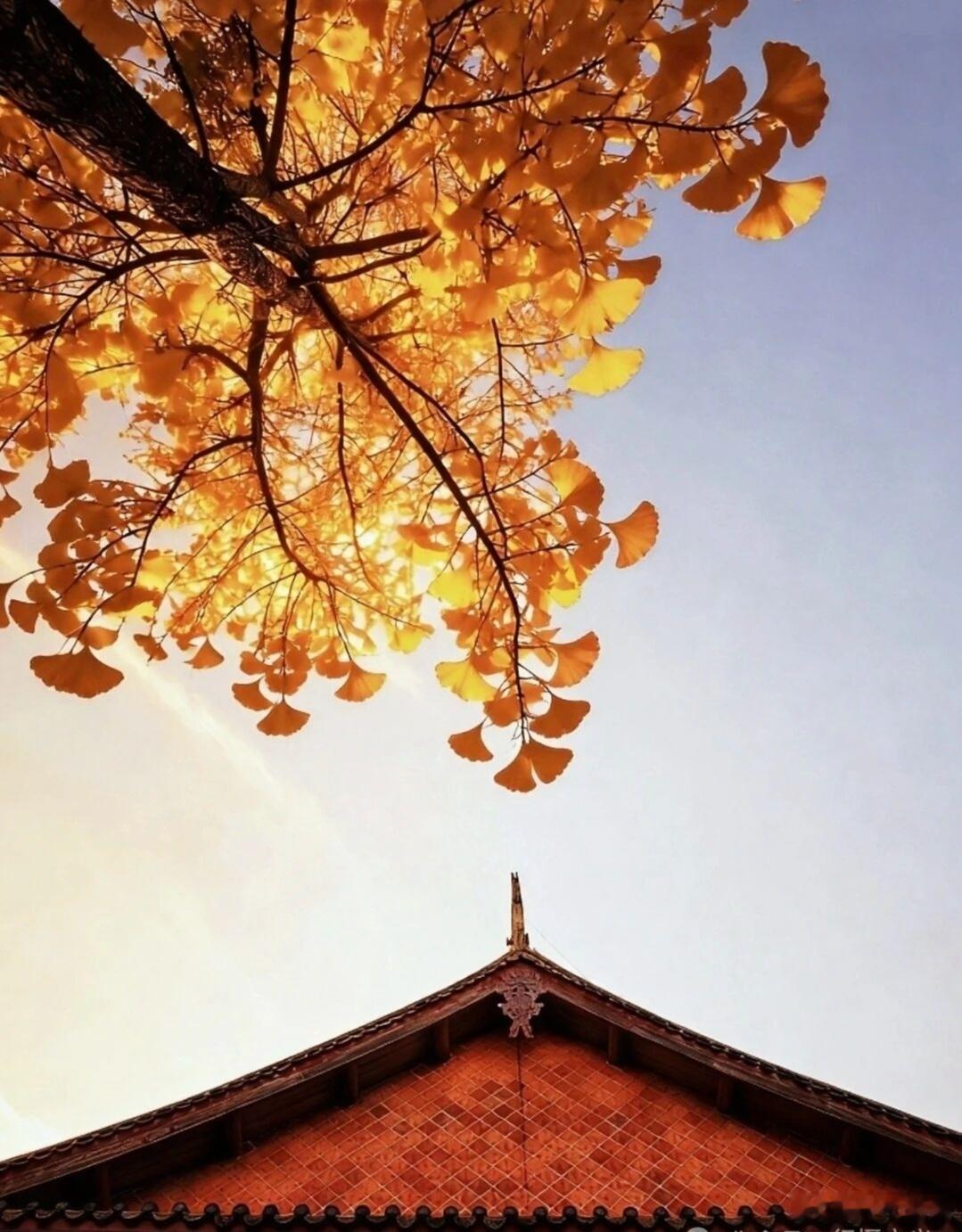 和领导沟通的小技巧。1、请事假。错误说法：