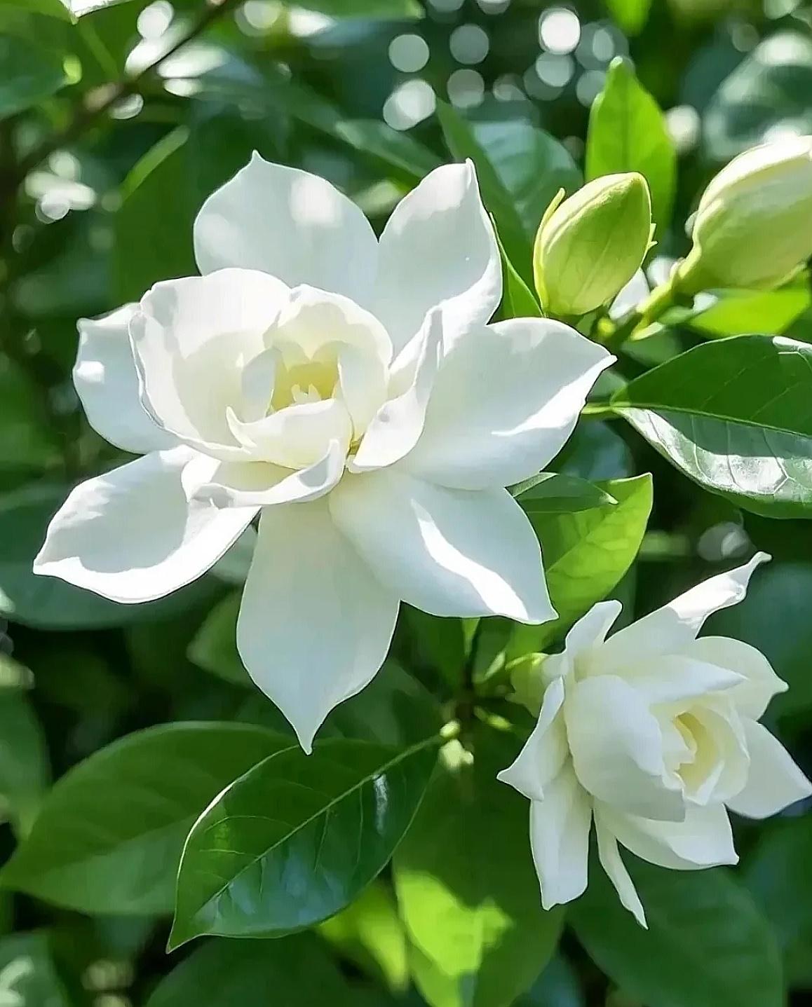 一个家庭，想要往上走，第一，夫妻之间尽量不要各顾各的，有事要相互商量，切勿