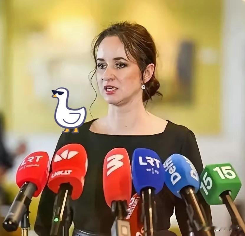 立陶宛新总理鲁吉涅内上台立马发布亲华表态，将恢复对华关系至多数欧盟国家相当，但