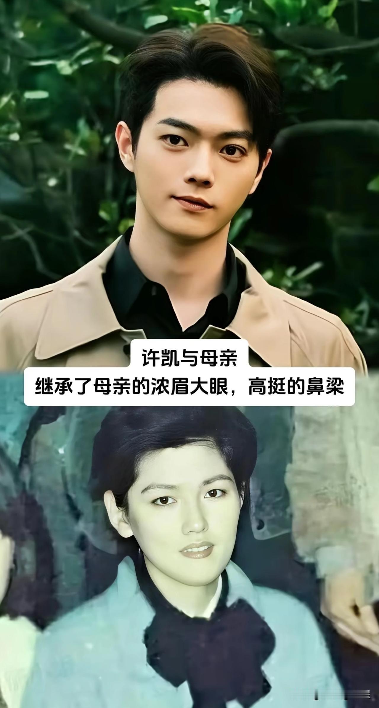 基因太奇妙！不少男星的盛世美颜，多半随妈妈长相遗传这件事很奇妙，很多男孩子的