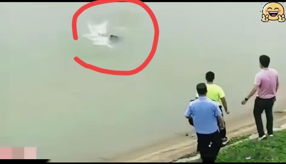 终于学到精髓了遇到分不清是不是“水鬼”的情况，先不要着急下水。等个5分钟，等她