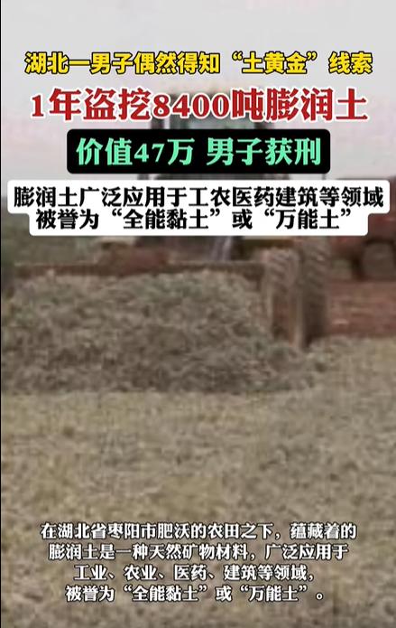 湖北枣阳，一男子发现某片农田之下竟然富含“土黄金”，于是立即租下了25亩地