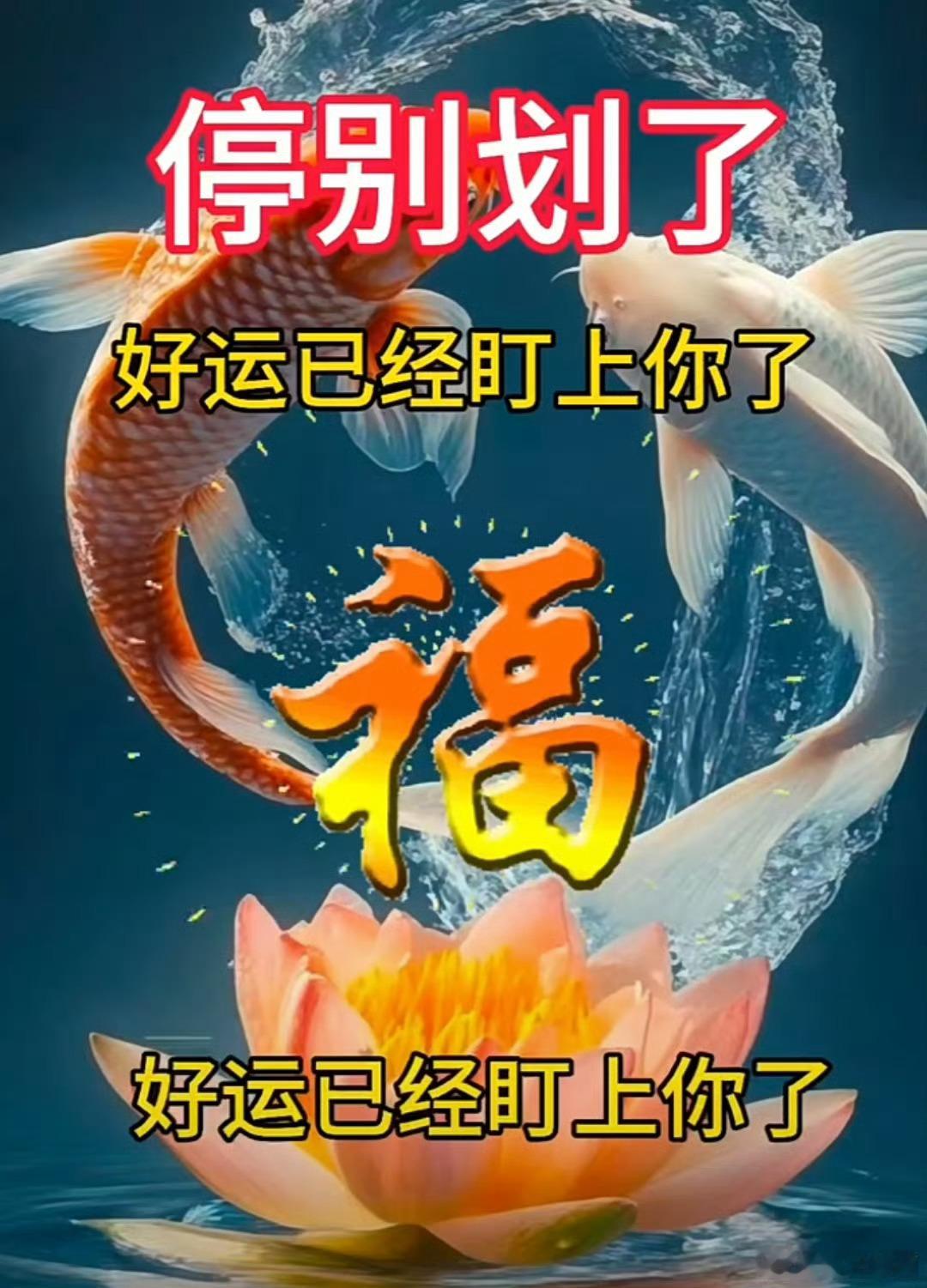 别看了，你已经被好运盯上了，跑都不跑不来那种。点赞，来回应好运，让自己的运气好起