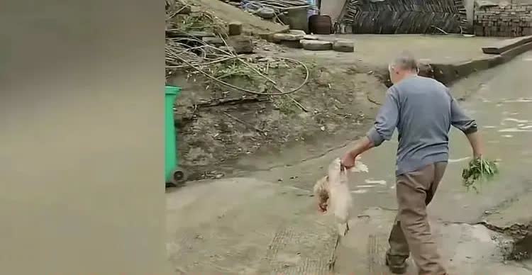 “令人感动”，重庆某地，一男子在行驶过程中不小心将村民的一只老母鸡压死，为此男子