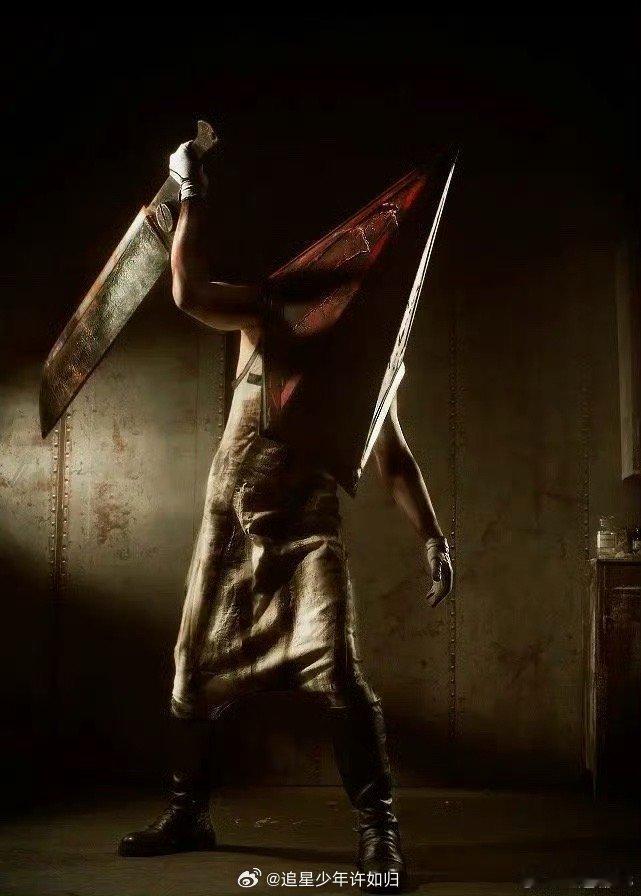 重返寂静岭看前洒洒水看后狂捂嘴看之前：区区恐怖片。看之后：是我冒昧了。影片对经