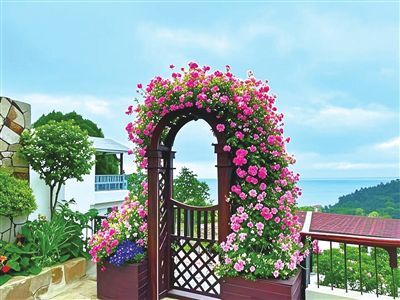 青岛“民宿+养老”渐热: 田园安“家”, 养老变“享老”