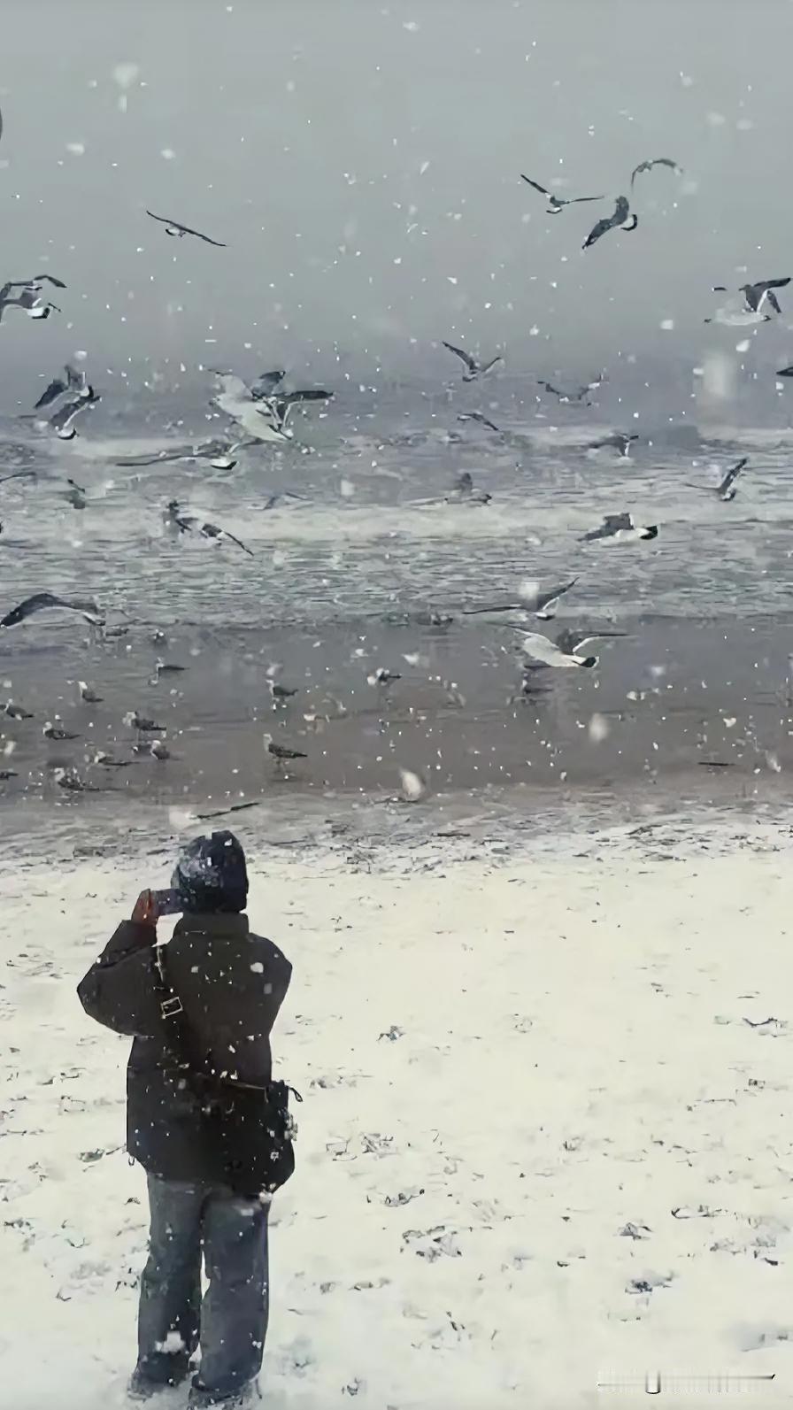 山东威海这雪下的太“豪横”啦！黑夜里，密集的雪片遮挡了视线，广场上全是尽情撒欢的