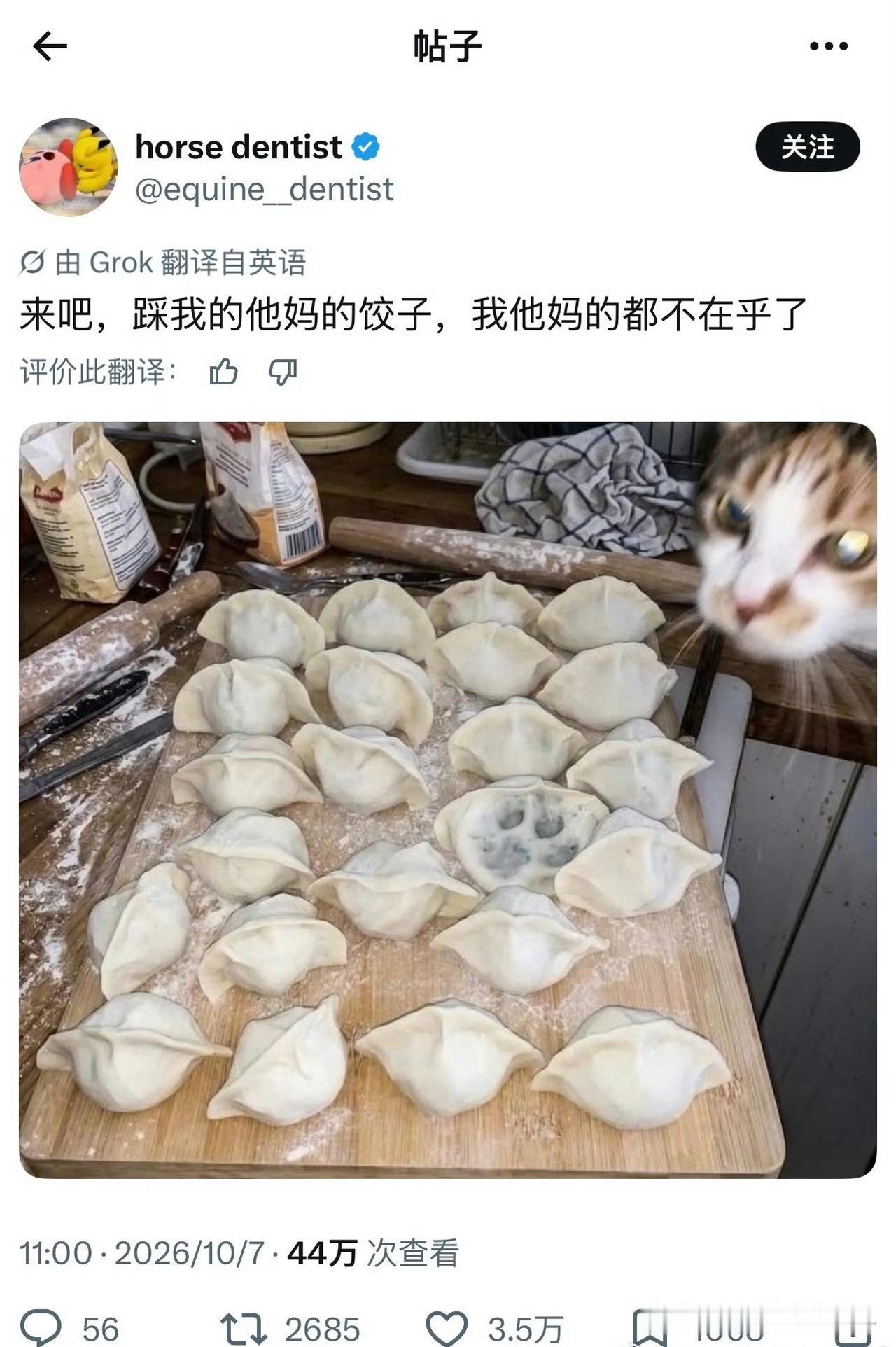 国外网友晒出猫咪踩了饺子上留下脚印的照片，网友们调侃猫咪还会回到案发现场看看自己