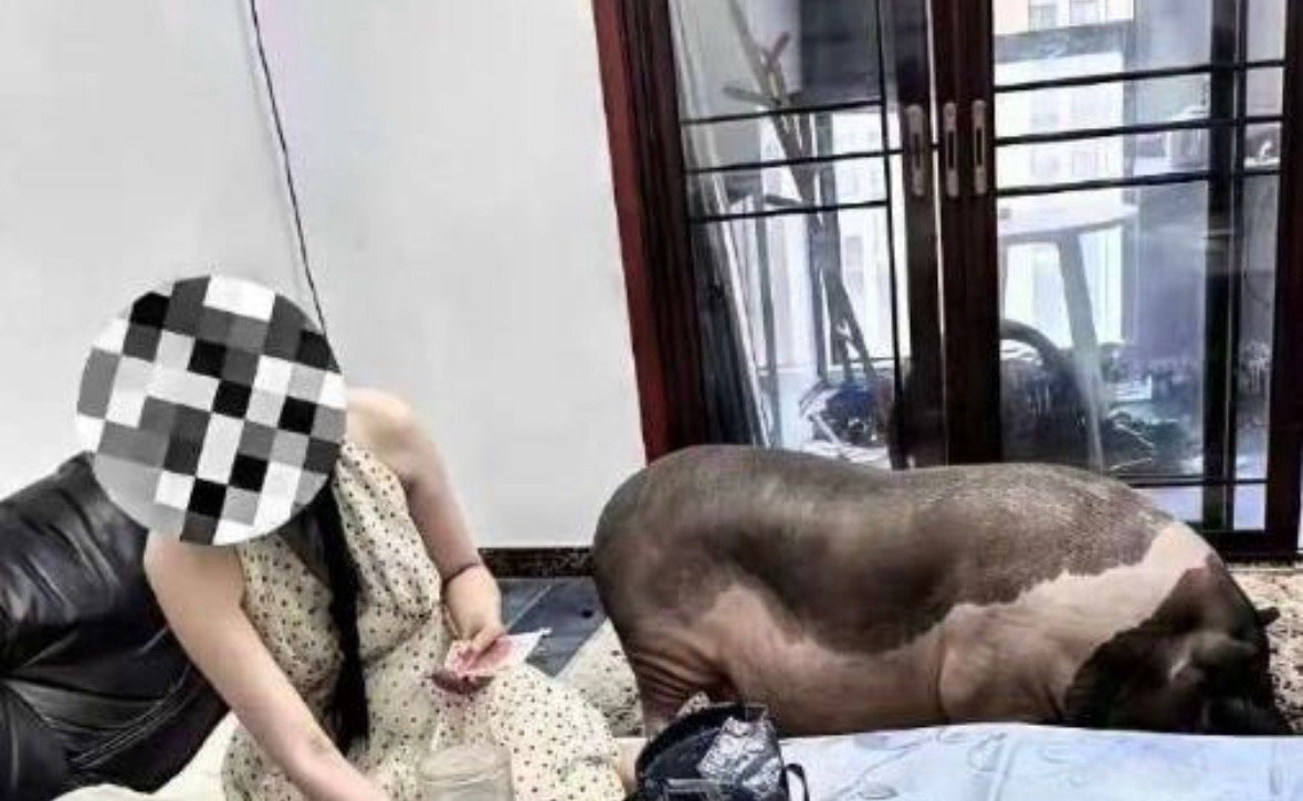 这样子的家，我是一刻都待不下去