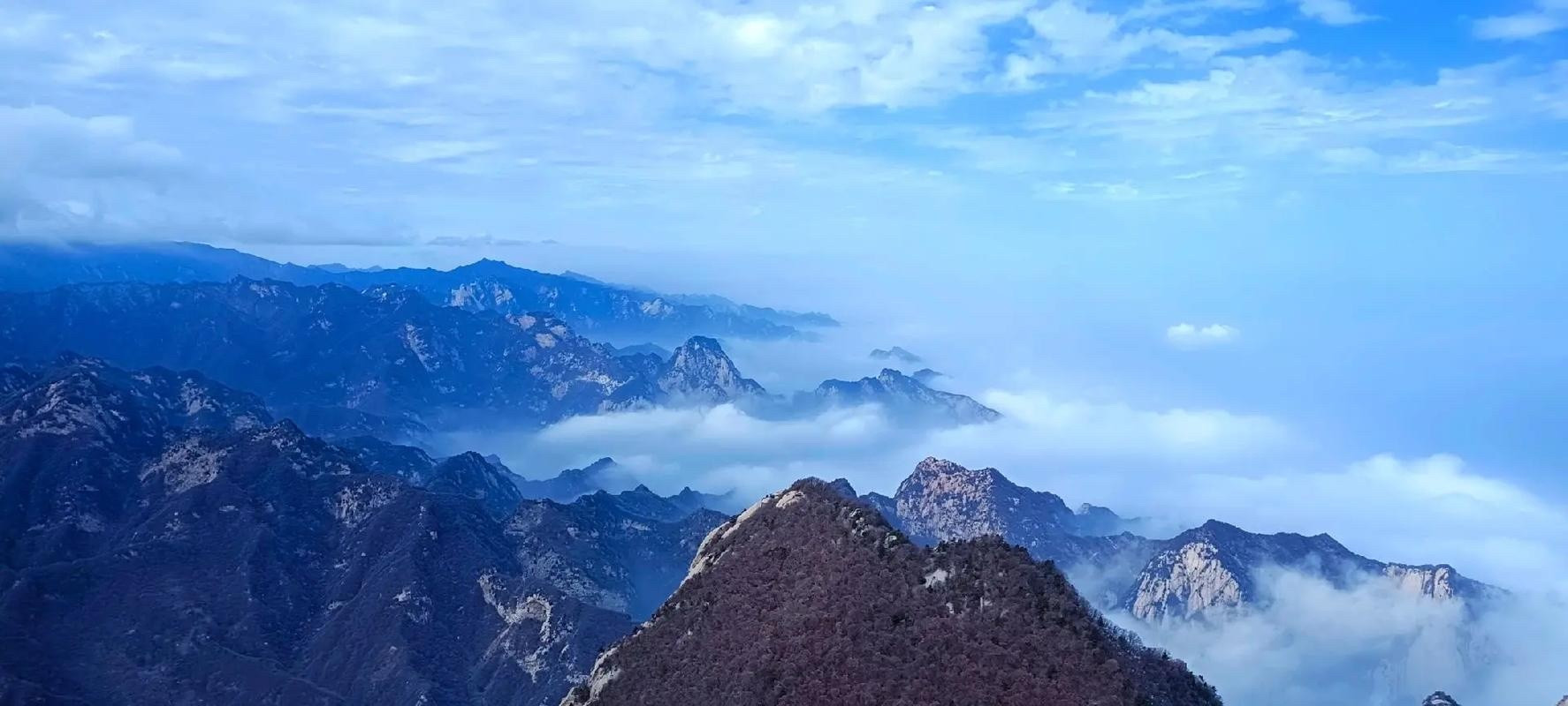 银行变大空头了，大资金疯狂砸盘银行目的何在？今天收盘我们的银行板块只有一家红盘，