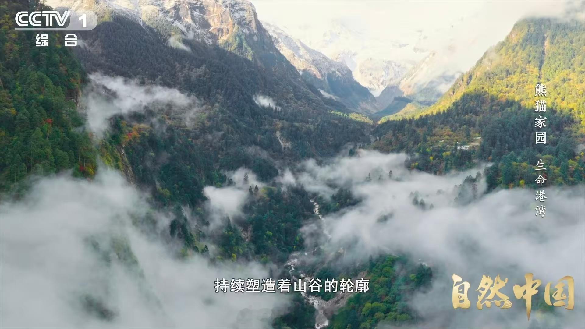 四川有一种脏脏包冰川海螺沟冰川：我不是脏，我是在搬砖。裹挟岩屑、磨蚀山谷、搬运