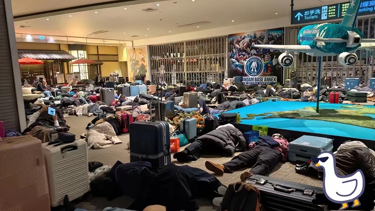 要求国家“必须派包机接我们”的这批人，朋友圈定位常在东京、纽约、巴黎。晒的是米其