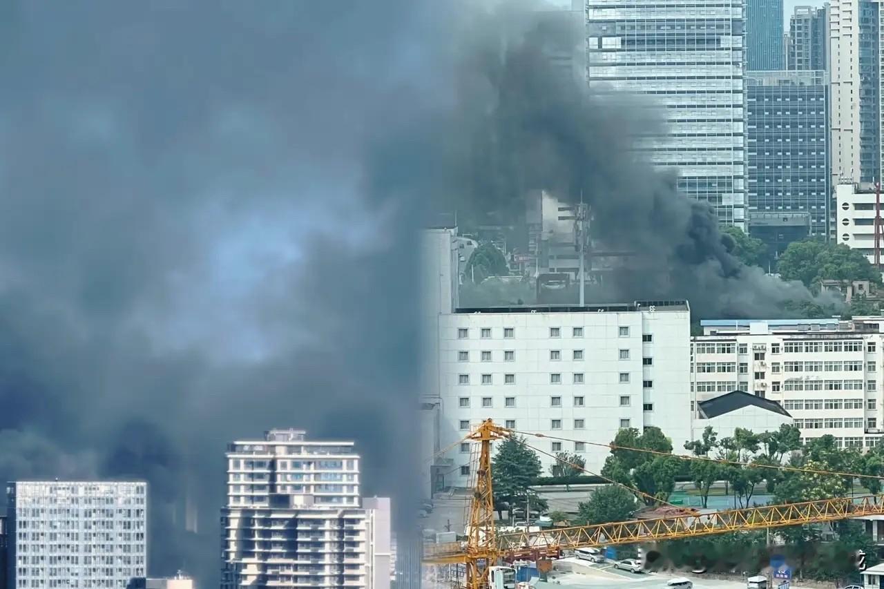 这剧本写得，简直是在侮辱大家的智商！湖北美术馆这把火，烧得那是相当有“水平”。