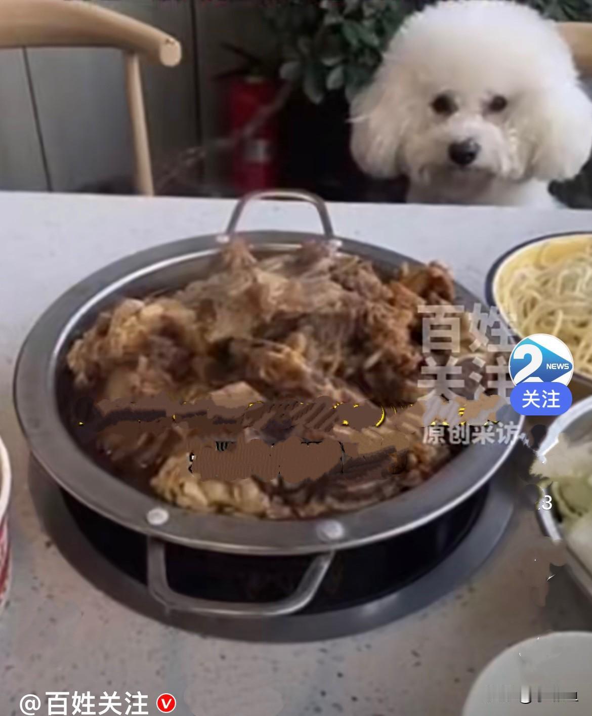 近日，湖北武汉吴先生在一家知名牛骨头熟食店吃饭，看见进来四个人直接把宠物狗带进