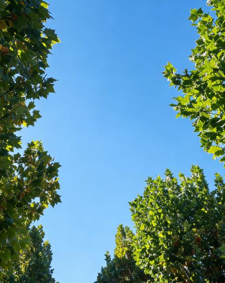 醍醐灌顶的话：成年人犯的最大的错误，就是试图让一个几岁或十几岁的孩子，来理解他