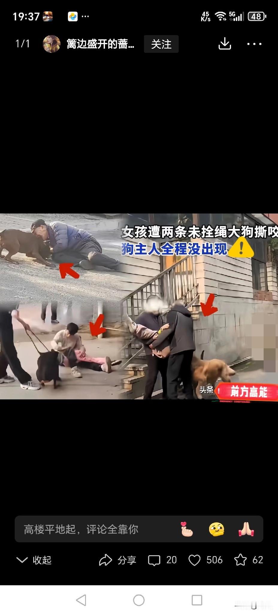 看完北京邻里因为狗狗闹出来的官司，心里真的五味杂陈。用极端方式报复宠物，本身就