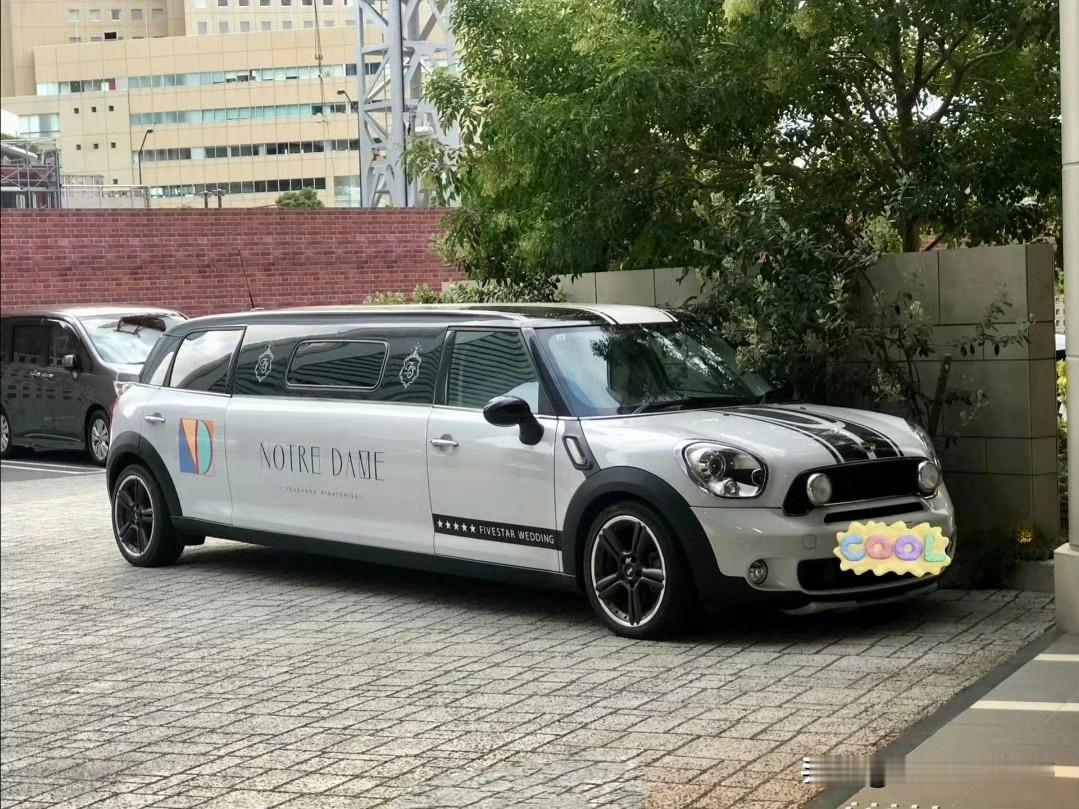 你给我说这叫MINI？？？？？