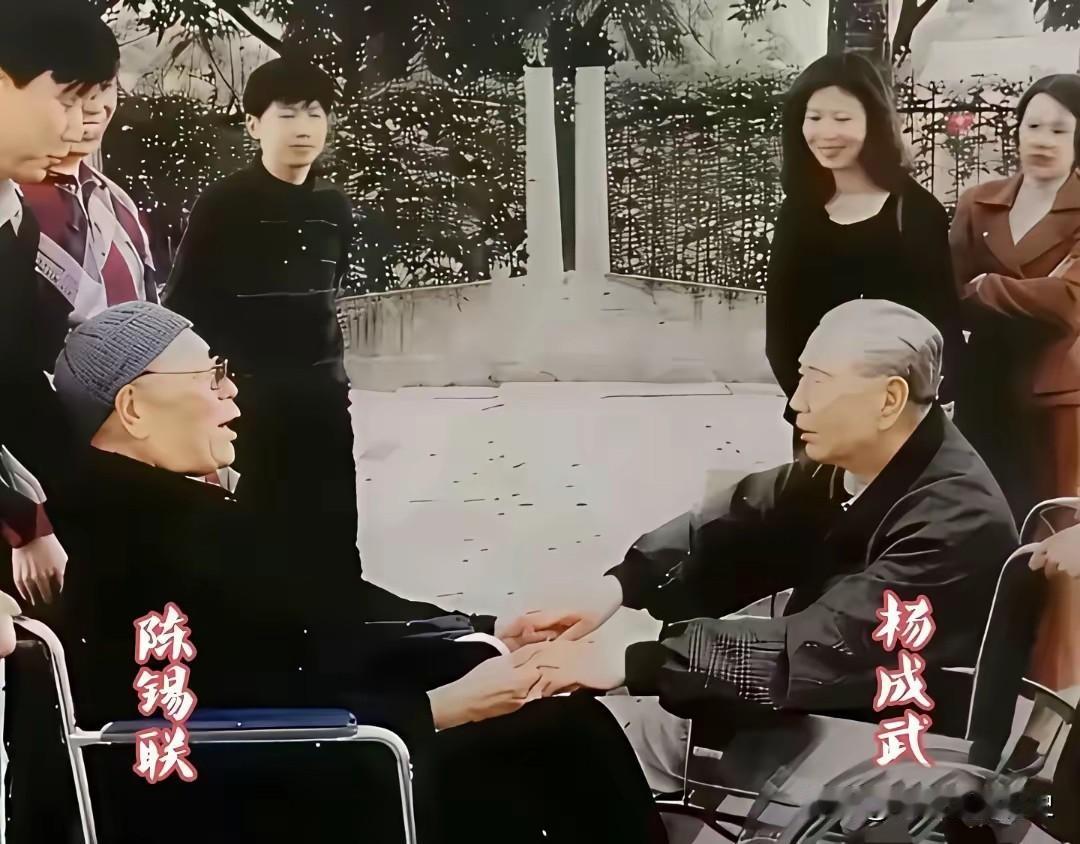 1998年深圳，两位开国上将陈锡联与杨成武暮年重逢，二人皆坐轮椅，双手紧紧相握，