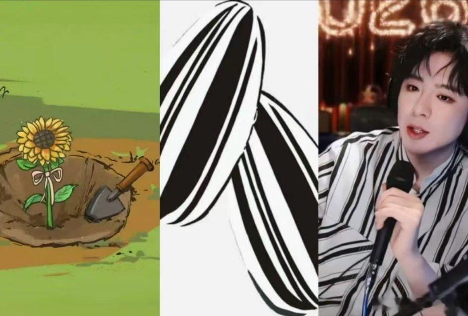 刘宇宁亲手种的宁小葵终于长大啦🌻向阳而生，扎根心底，化作铠甲穿在他身上✨用阳光