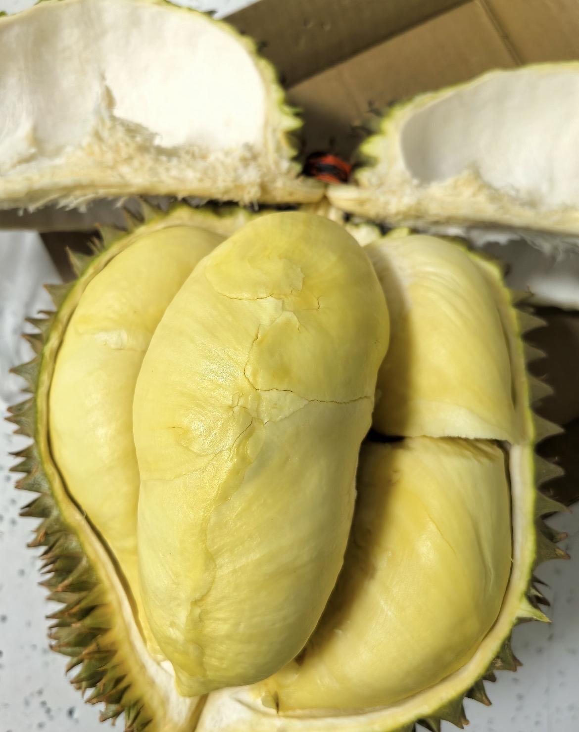 人教人教不会，事教人一次就够我怀大宝时，听信榴莲有营养，孕期吃了不少。孩子出生