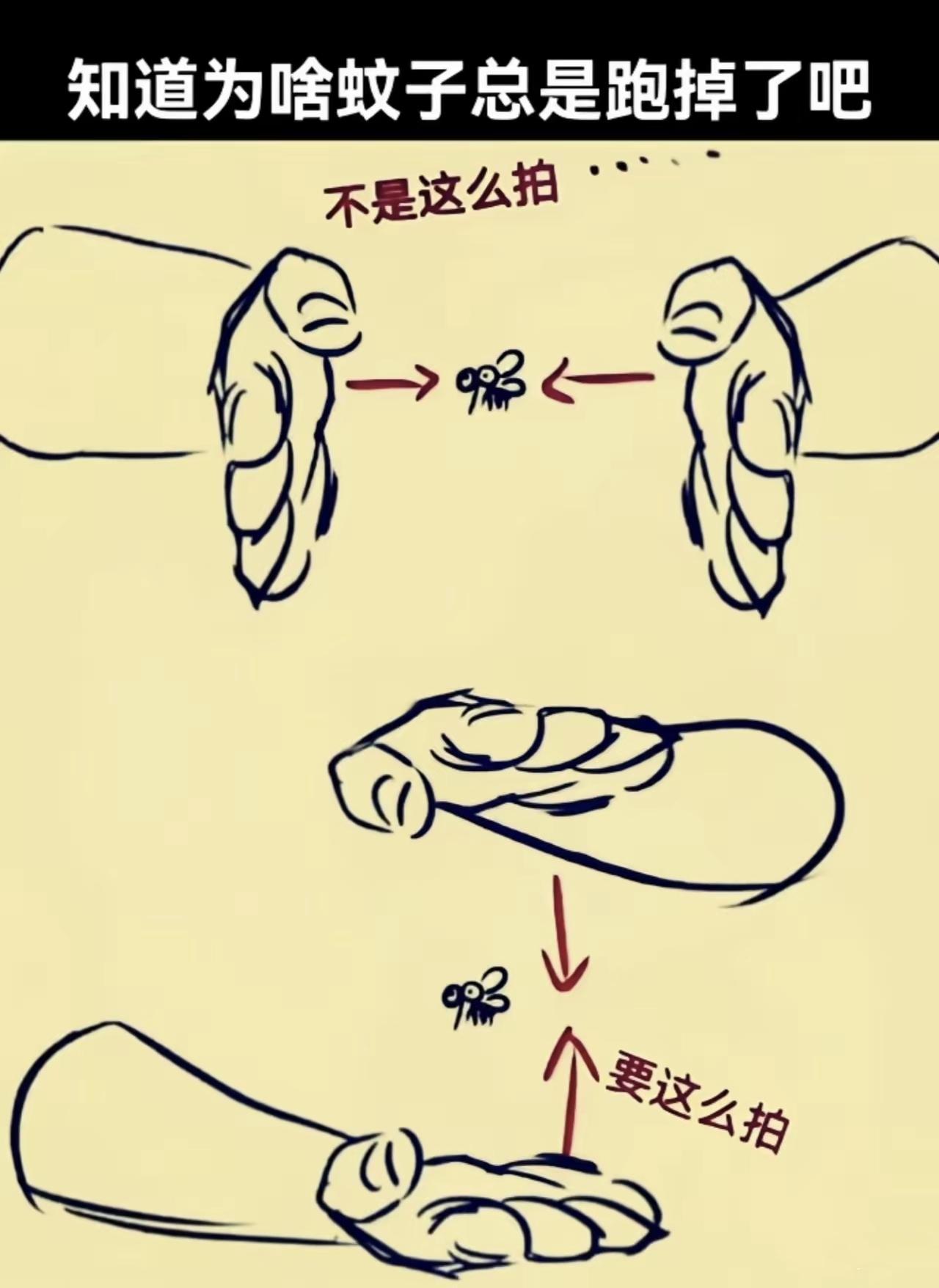 我用一只手，手心向上，去抓握空中飞舞的蚊子🦟，看准，要迅速出手。竟然有六次成