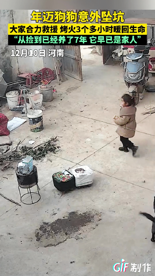 泪目了！河南一女子发现家里捡养了7年的狗狗不见了，她着急得发动全家人去找，结果发