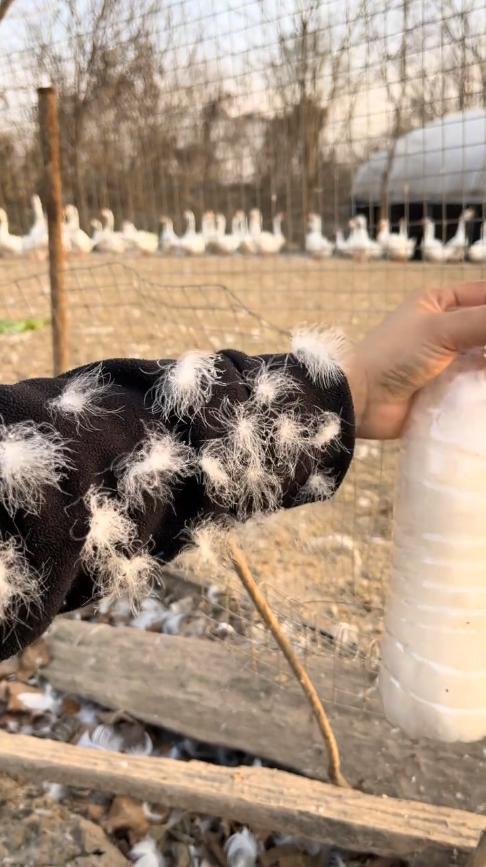 “人怎么能这么聪明！”近日，江苏苏州，一女子觉得便宜的羽绒服太假，贵的又买不起，