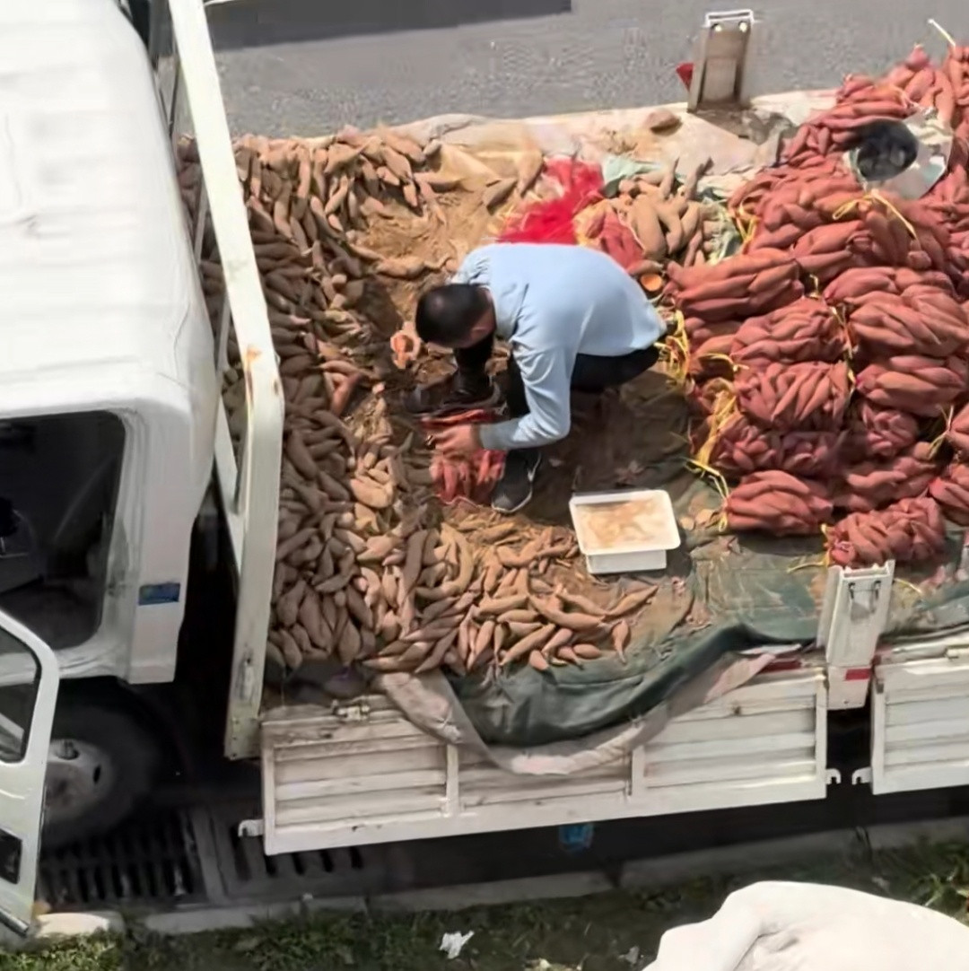 怪不得红薯要用这种袋子装，装完变红了，瞬间变好吃的感觉