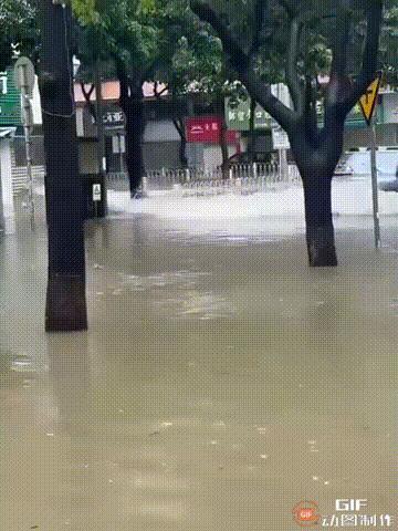 在台风桦加沙登陆广东期间，一位车主把街道当成了游乐场，即便积水已经淹过了轮胎，他