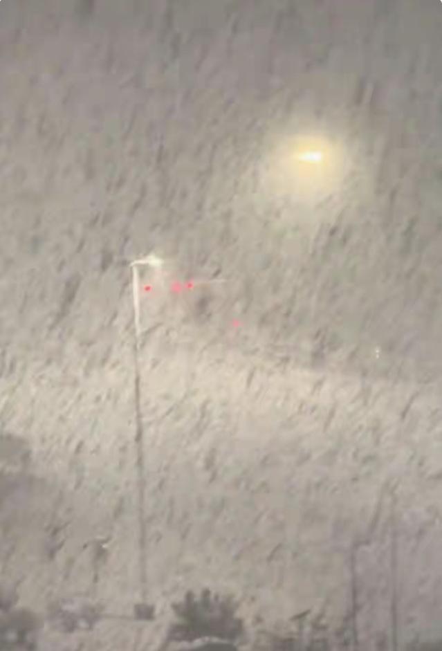 山东威海暴雪奇观刷屏！游客凌晨两点在海边狂玩“倾盆大瓢雪”，南方人羡慕哭：这才是