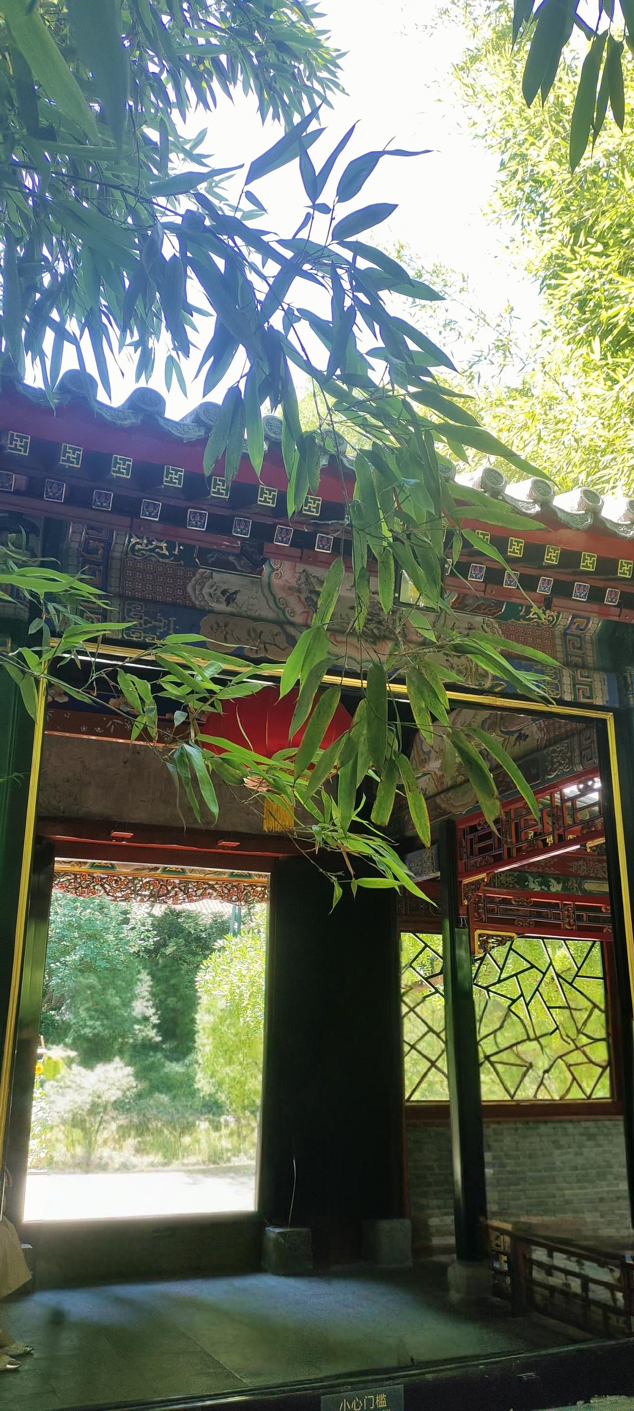 生孩子到底值不值？答案就在我们家前几年我的舅舅70大寿两个小姨，一个