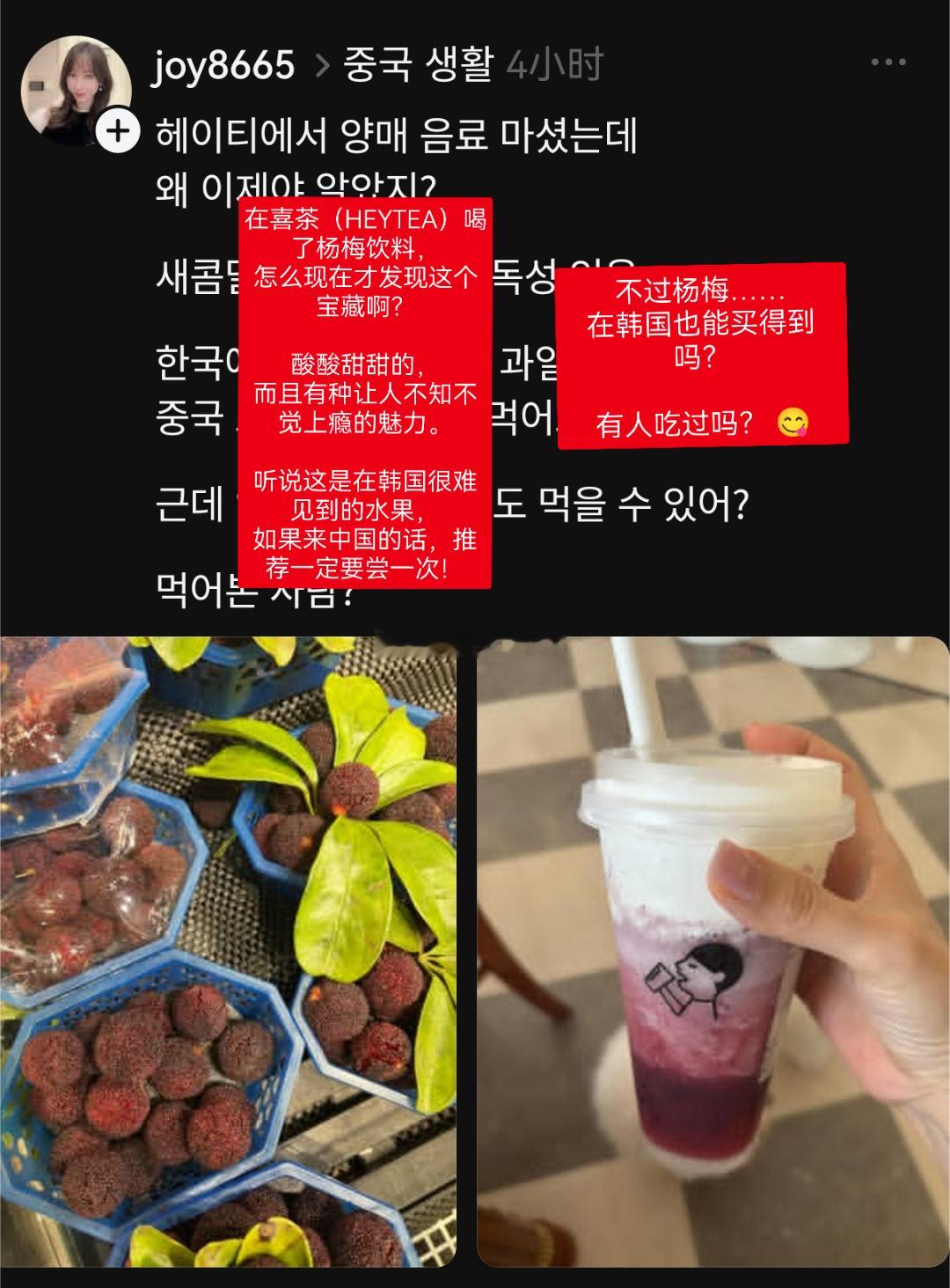 当韩国人在上海发现了杨梅——