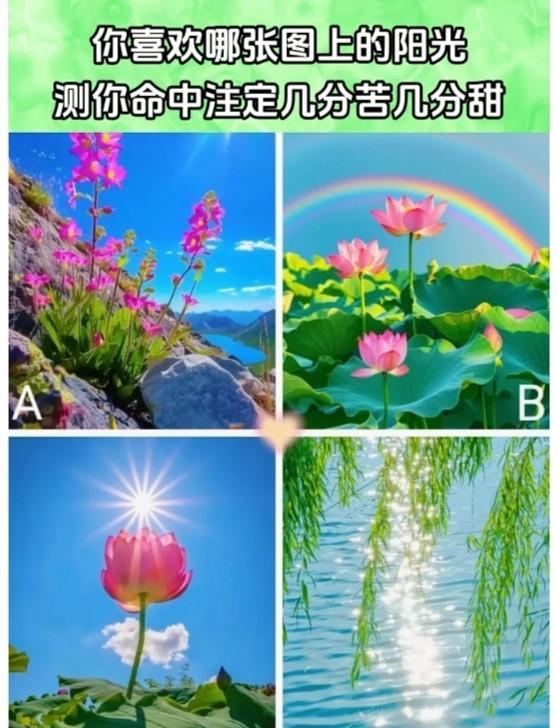 心理测试1436，你喜欢哪一张图片上的阳光，测试你命中有几分苦几分甜？#万能生活