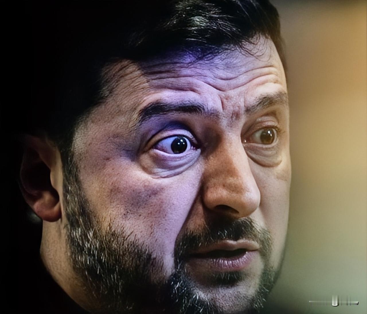 一语中的！继续支持输家明显是错误的！德国选择党主席爱丽丝·魏德尔在最新的表态中呼