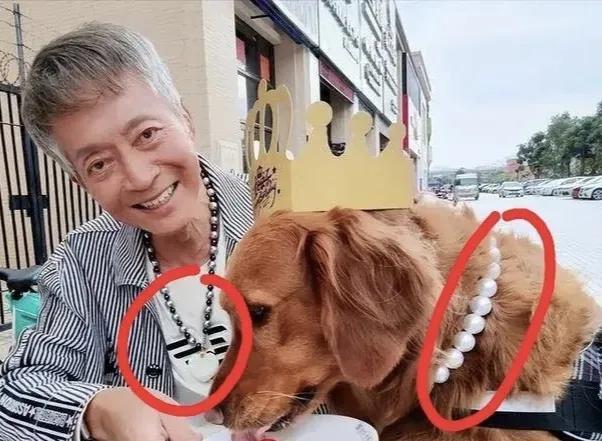 之所以大家觉得方刚也把狗狗当作儿子在养，主要是因为那些狗是方刚捡回来的流浪狗，但