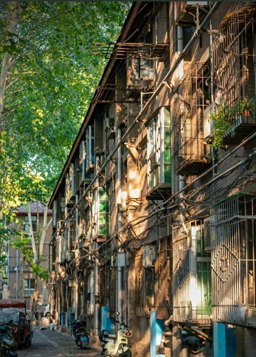 我邻居两口真奇怪。夫妻俩也就四十出头，有一儿一女两个孩子，儿子正上大学，女儿也