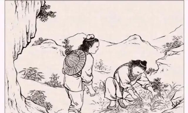 1913年，有一采参人进山采药遇见一千年人参，欲将它采摘回去，不料千年人参竟开口