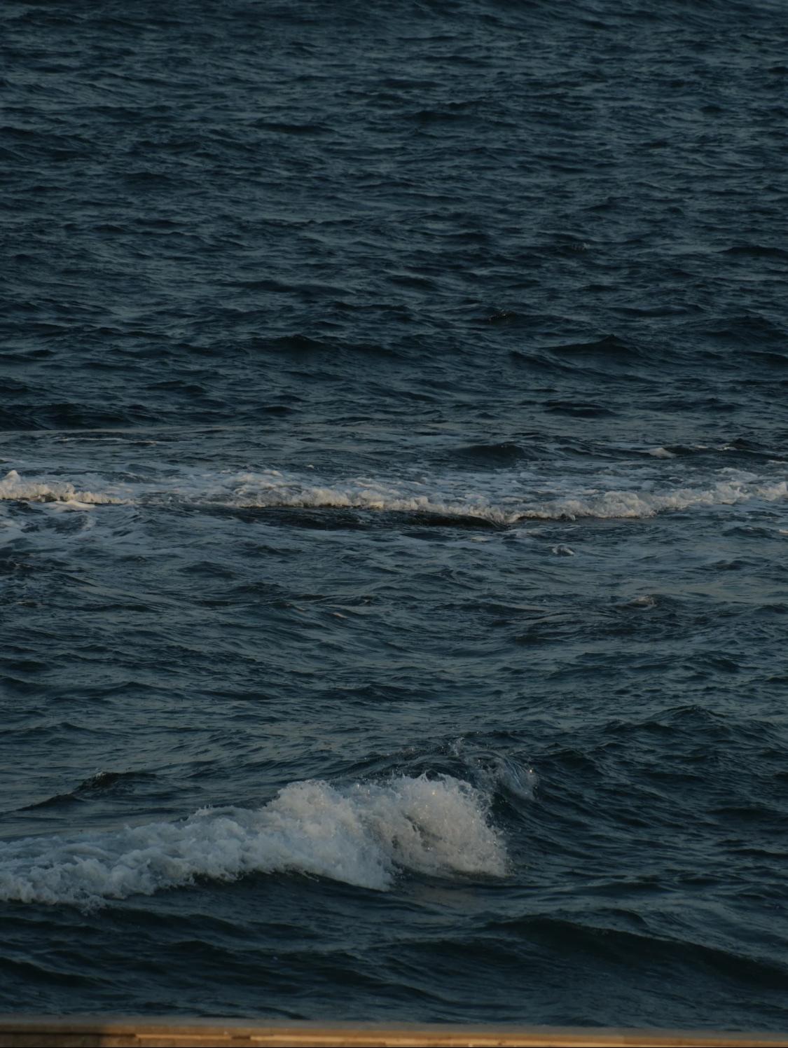 人一定要大量读书！长期读书的人都有一个共性：不盲从，不慌张。叔本华说：