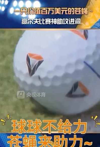 一只苍蝇帮他赚了91万美金？英国一场高尔夫球赛中，一名选手把球打到了离洞口几毫米