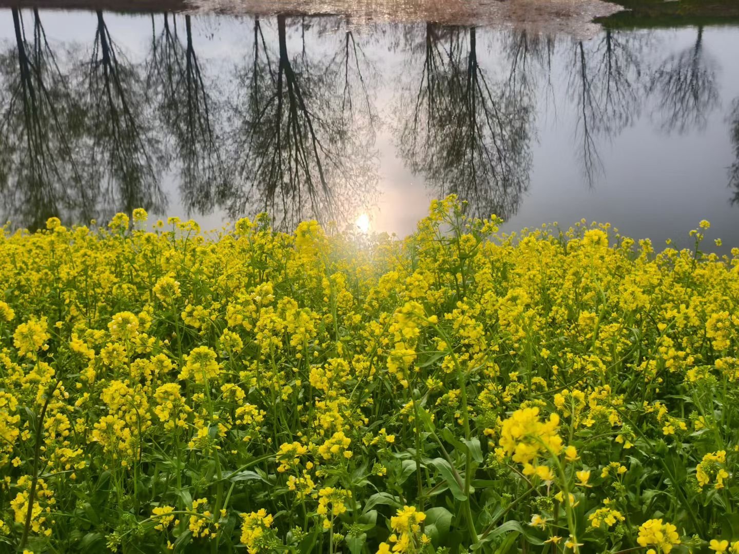 看到这个，想起春节时候见识了亲戚的相亲过程。亲戚是男的，说相亲吧，也不准确，算是