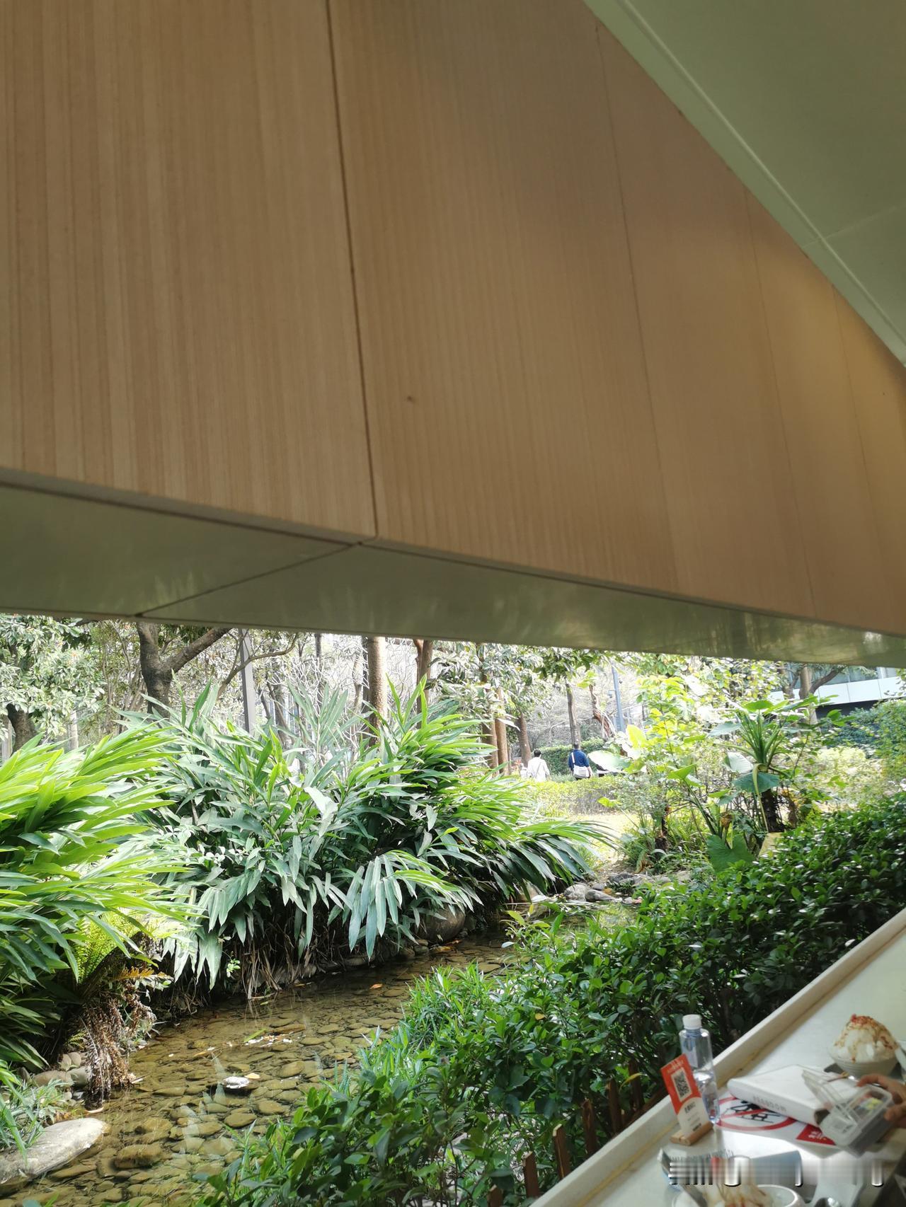 分享一张最近随手拍的照片