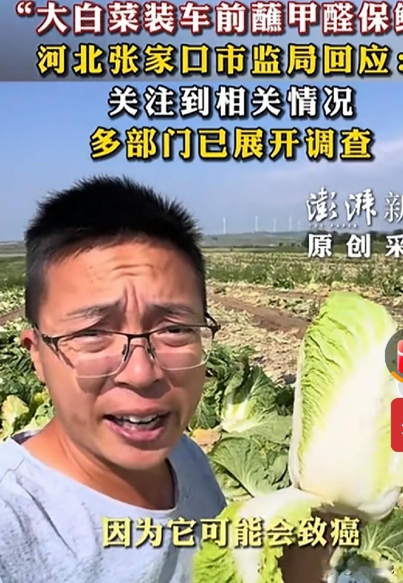 甲醛泡白菜，毒菜流全国！大白菜，蘸甲醛保鲜。这事发生在河北张家口康保县。