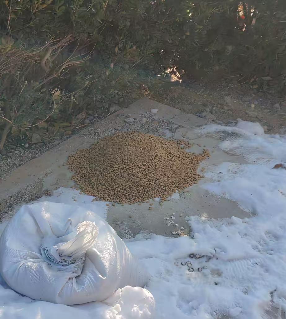 真正的善良是把猫粮堆成山，让流浪毛孩子们吃个饱饭。冬天可以，夏天喂猫粮不能放久了